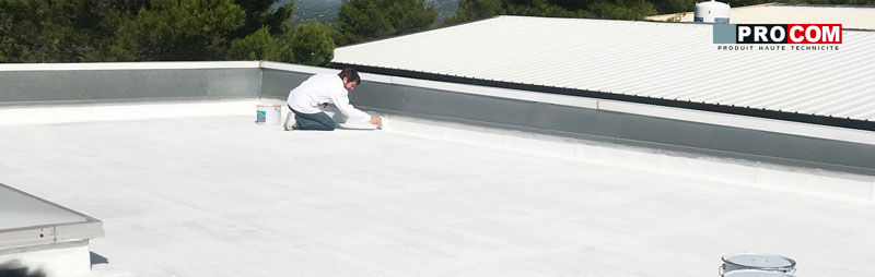 peindre les toits en blanc pour réduire la température - PROCOM